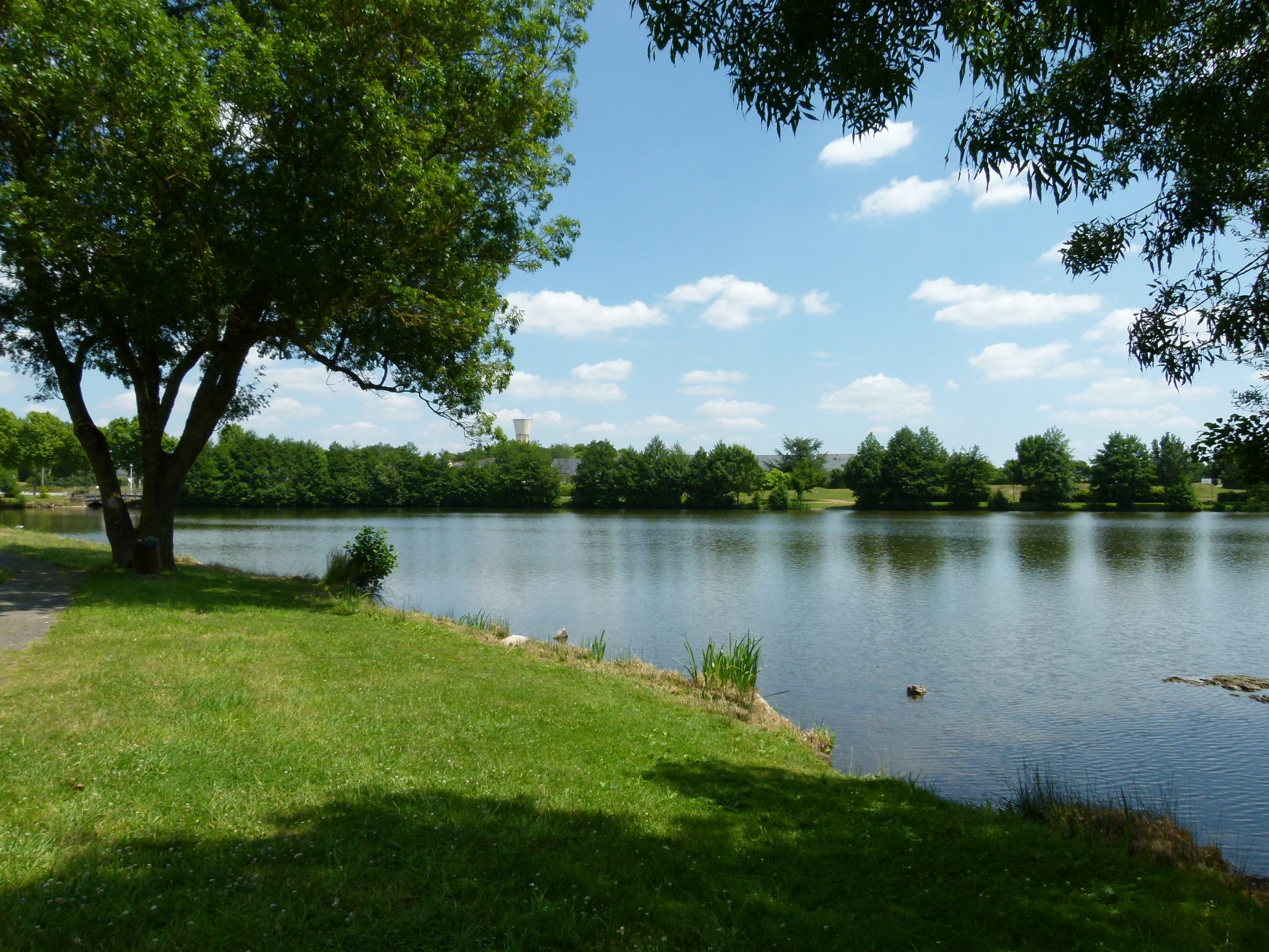 AIRE DE PIQUE NIQUE ÉTANG DE LA SALLE La Loire à Vélo